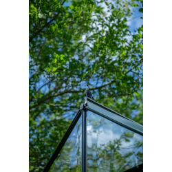 HALLS szklarnia ogrodowa ICON PLANTHOUSE 6 (7,3 m2; 1,93 x 3,79 m) czarna, szkło hartowane + baza